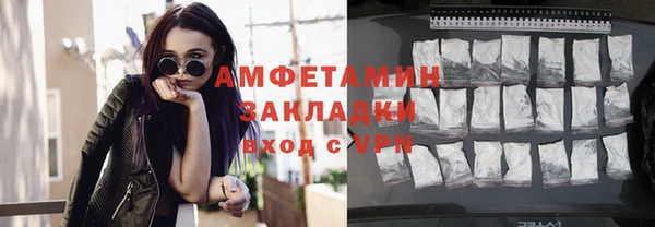 мет Алексин