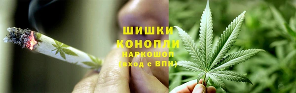 шишки Алзамай