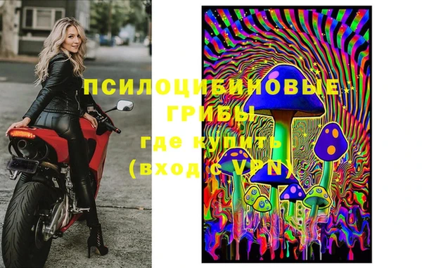 мет Алексин
