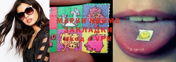 шишки Алзамай