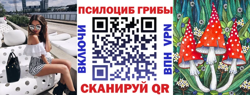 Псилоцибиновые грибы прущие грибы  цены   сайты даркнета телеграм  Петрозаводск 