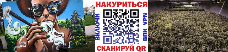 где можно купить   Петрозаводск  Конопля MAZAR 
